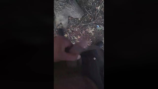 big_blackc  19-08-2022